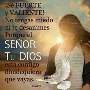 Meet your Posher, Rossy